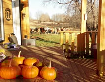 20151015_170746 (2)