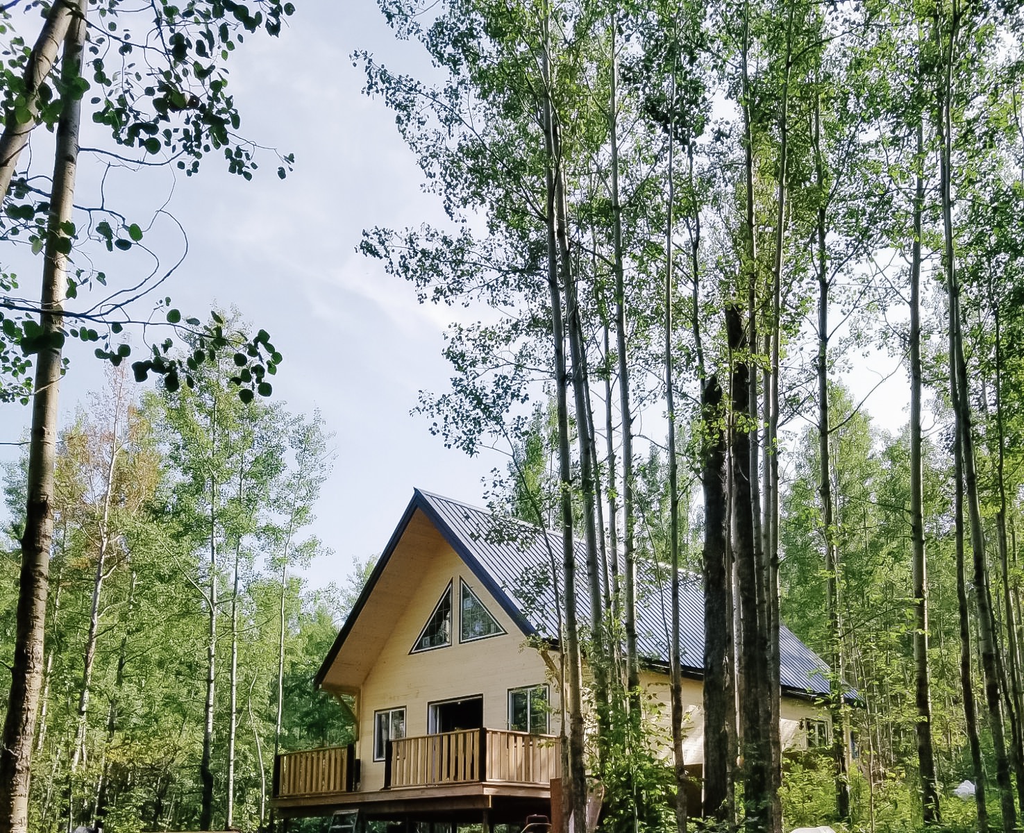 THE CABIN LIFE